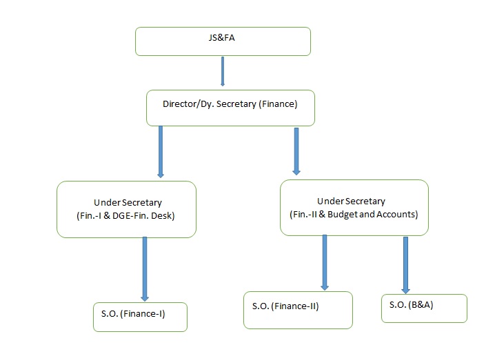 Organizational Structure of Finance Division