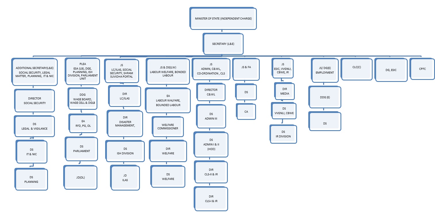 ministry health forms of of  Structure &  Organization Labour Ministry Employment