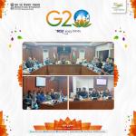 G20